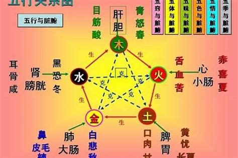 木命人性格|五行属木人的特点 木命人干什么容易发财